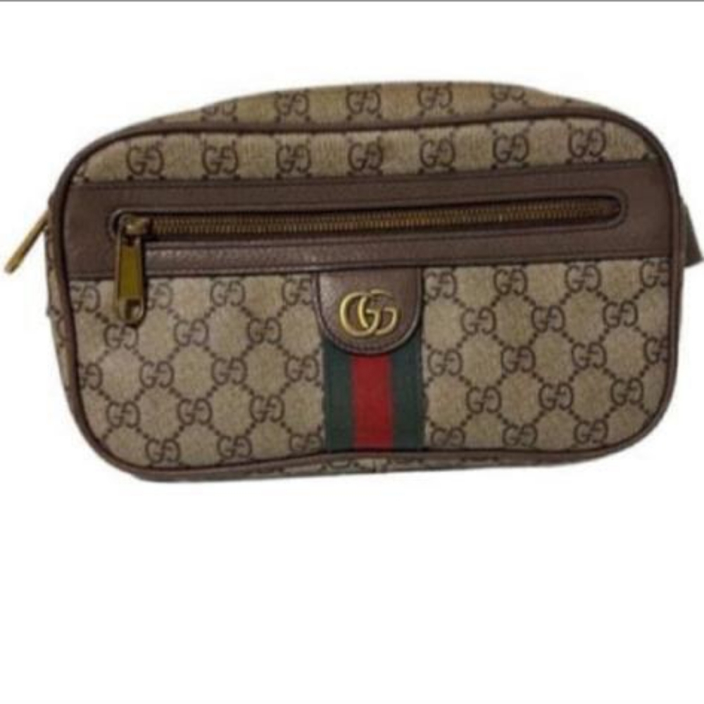 Gucci GG Supreme Monogram Funny Bag Size Large